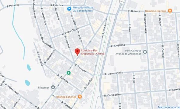 localizacao-google-maps-clinica-veterinaria-campany-pet-arapongas-pr