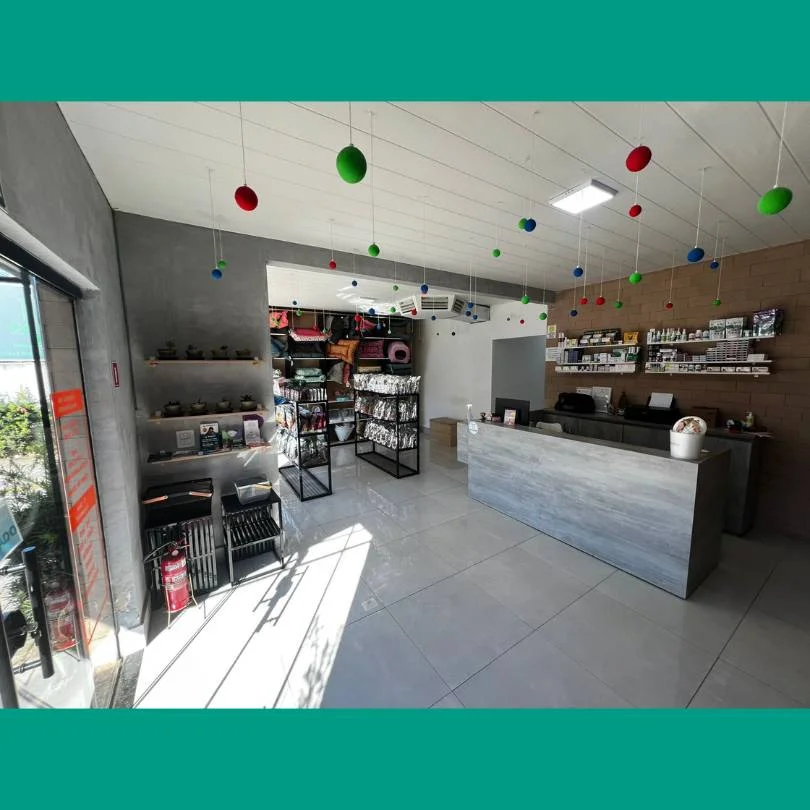 interno-2-company-pet-clinica-veterinaria-arapongas-pr