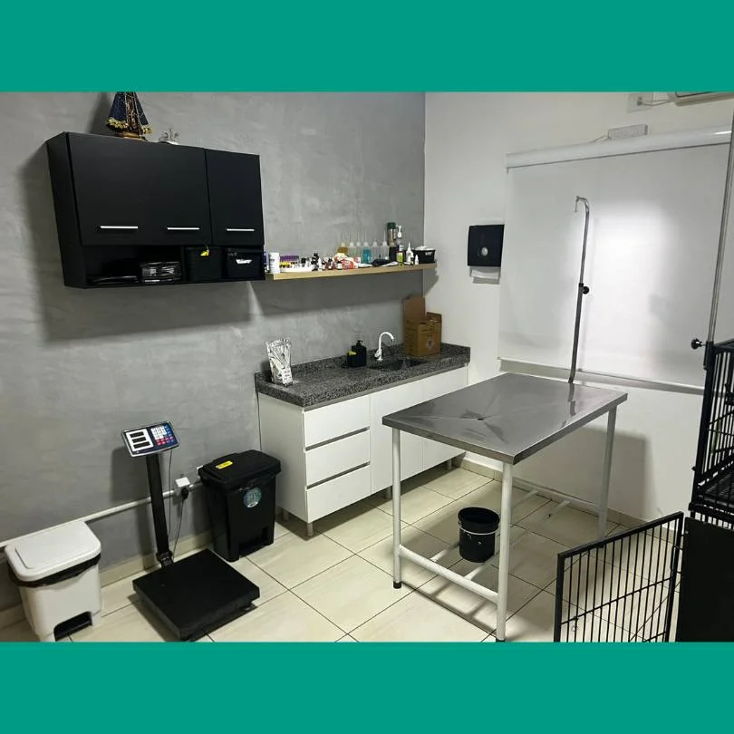 sala-company-pet-clinica-veterinaria-arapongas-pr